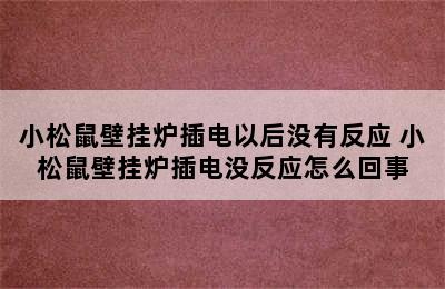 小松鼠壁挂炉插电以后没有反应 小松鼠壁挂炉插电没反应怎么回事